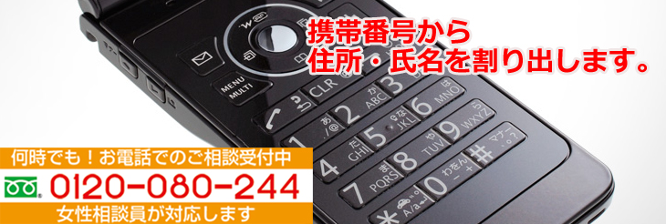 ���g�єԍ�����Z���F�g�єԍ��̖��`:�g�єԍ�����